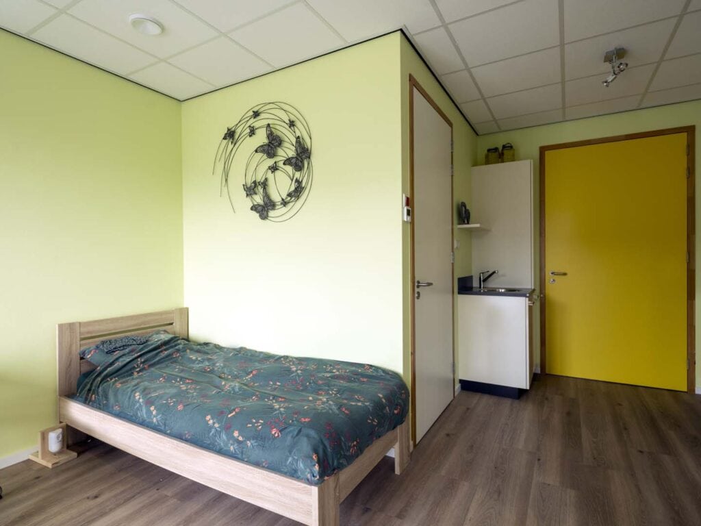 Woonkamer met groene muren, bed en kleine keukenruimte.