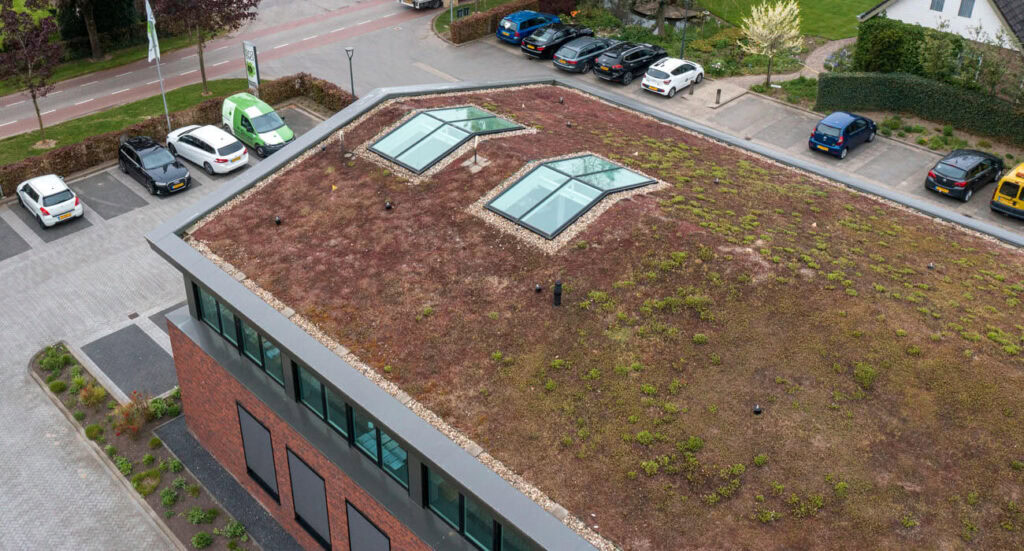 Groendak met sedum op kantoorgebouw voor milieuvriendelijkheid.