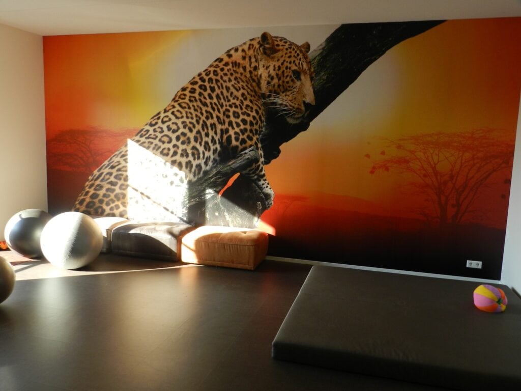 Leopard wanddecoratie met Afrikaanse zonsondergang achtergrond.