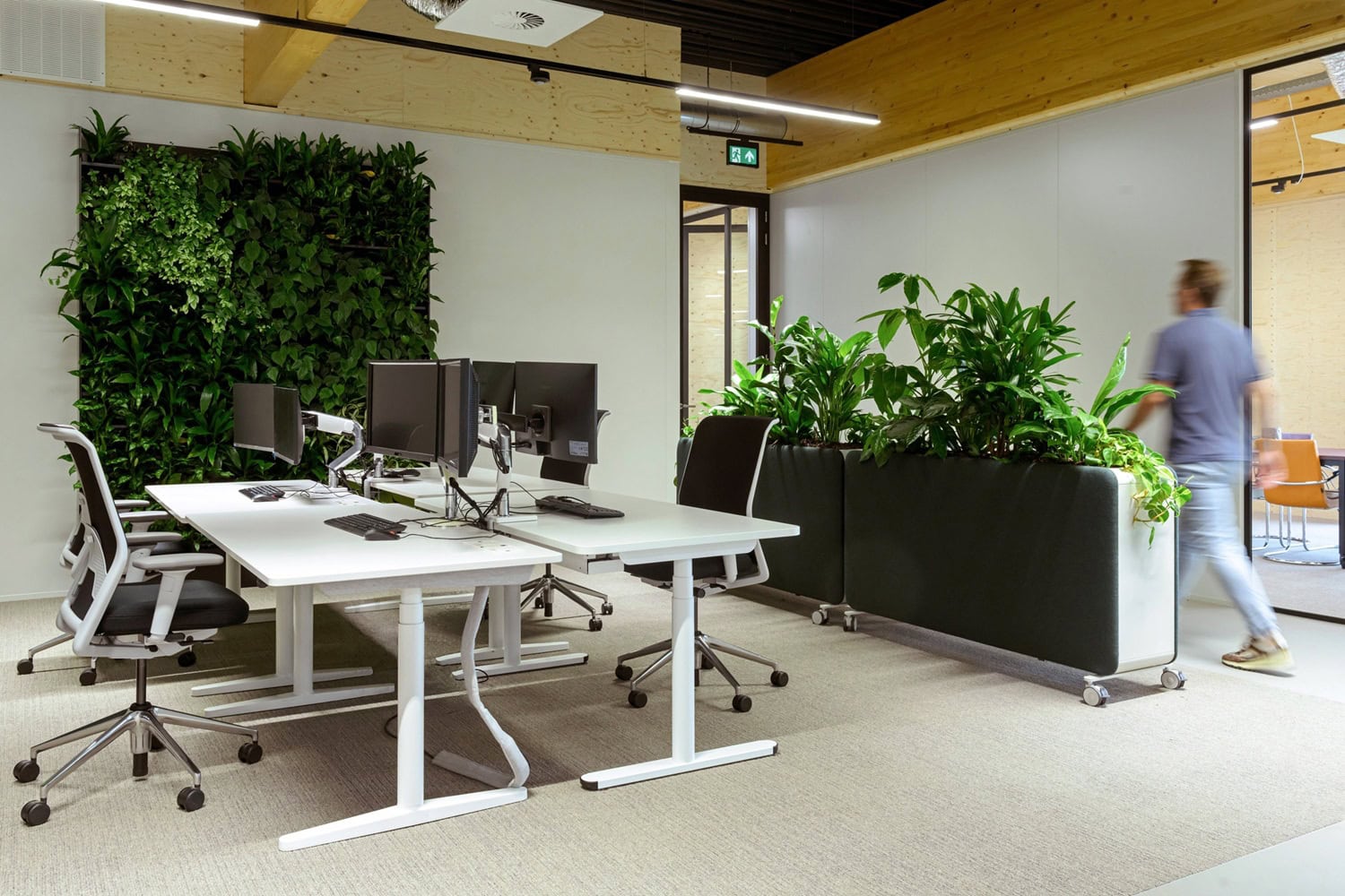 Kantoor met werkplekken, monitoren en grote groene planten in potten.