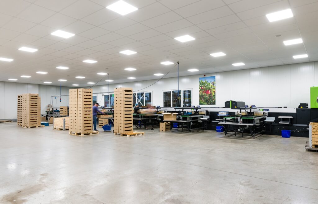 Ruime en lichte werkruimte met werkbanken en machines.